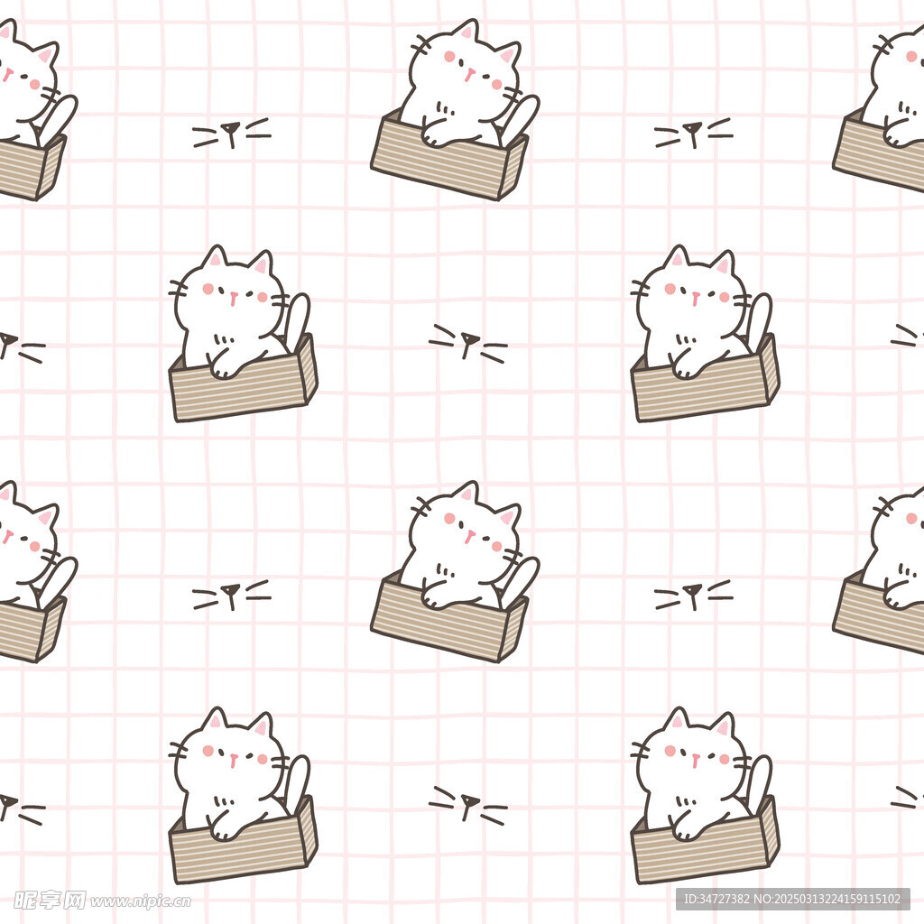 盒子猫
