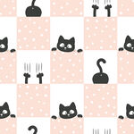 棋盘格猫