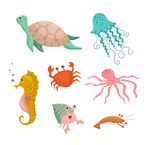 海洋生物