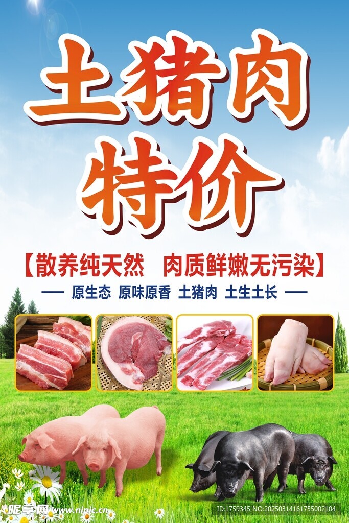 猪肉