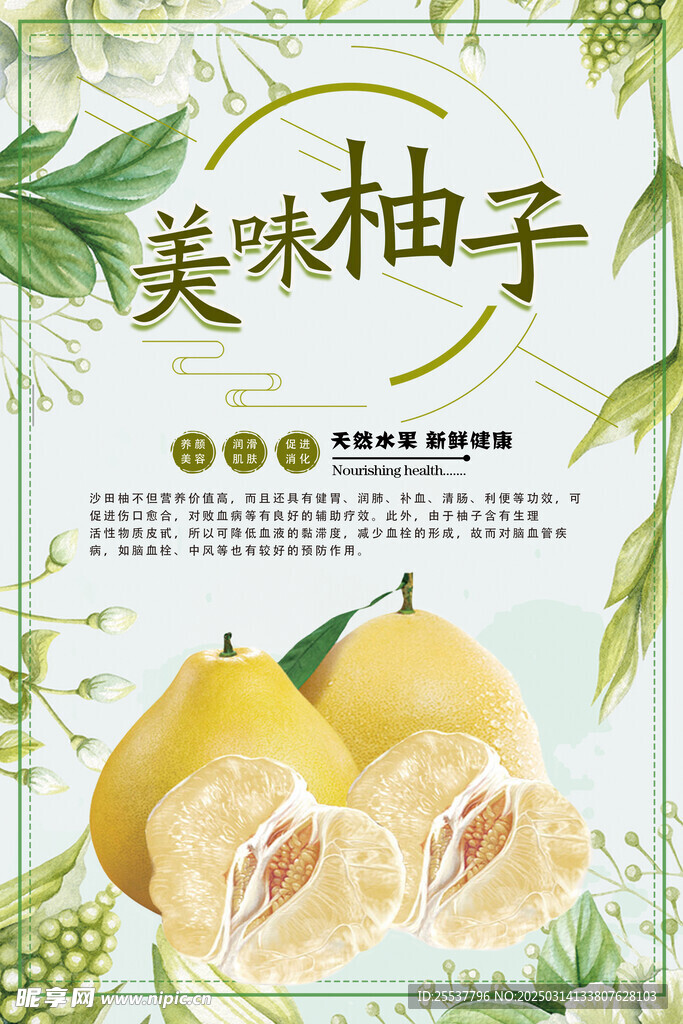 柚子海报