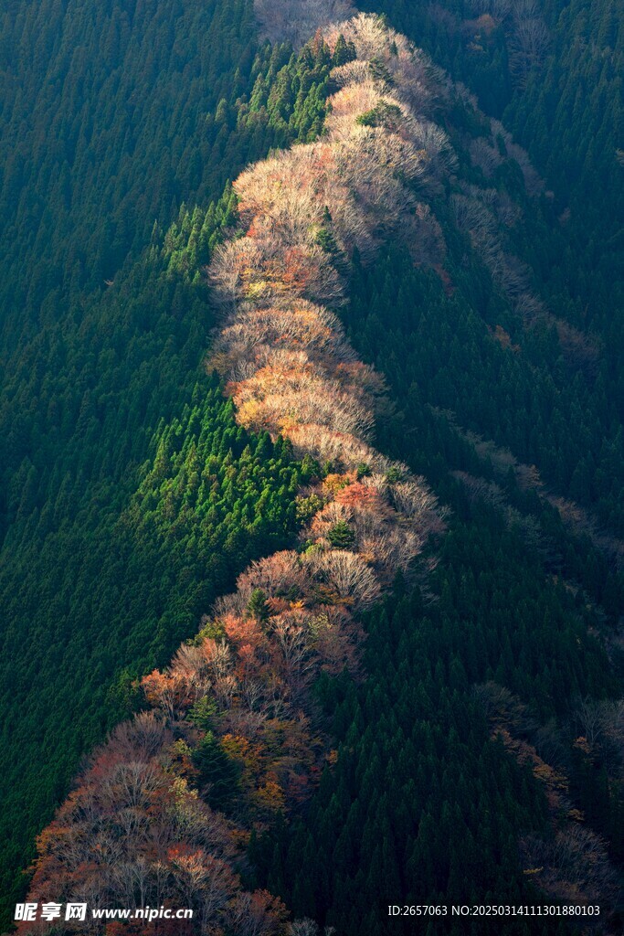 春山