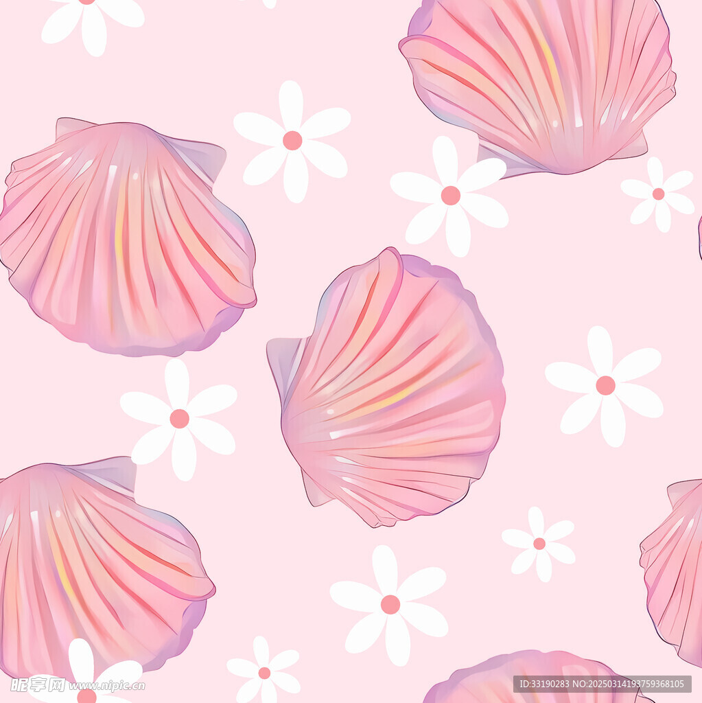 贝壳