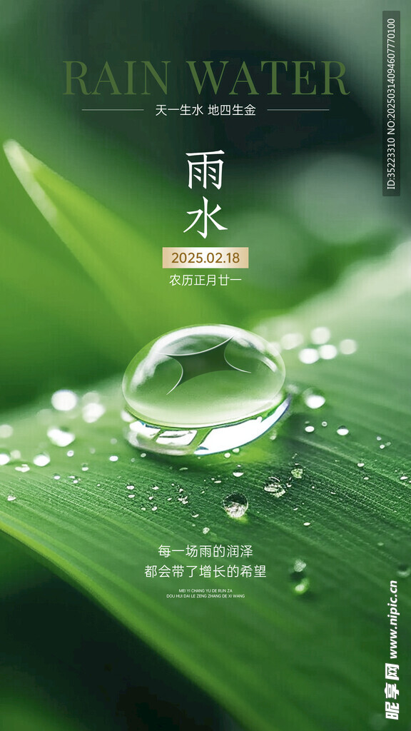 雨水金融保险节气祝福实景海报