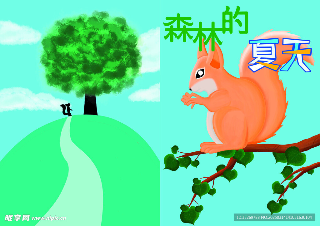 森林的夏天