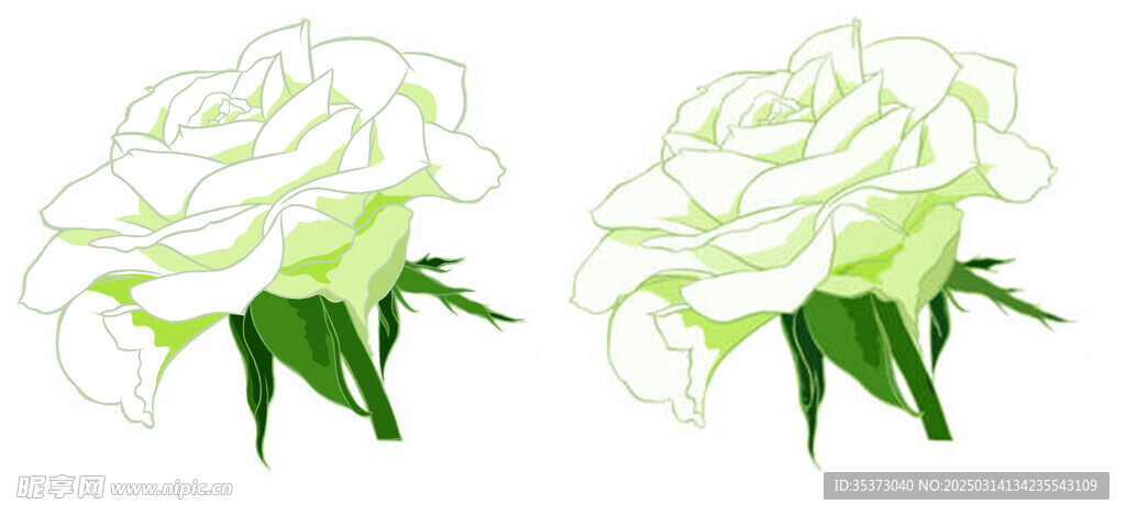 栀子花