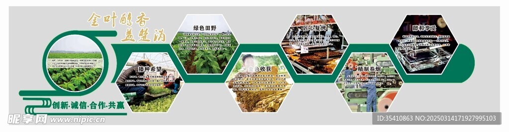 烟草文化墙