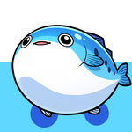 创意大头鱼