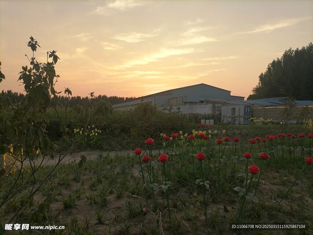 田园风景