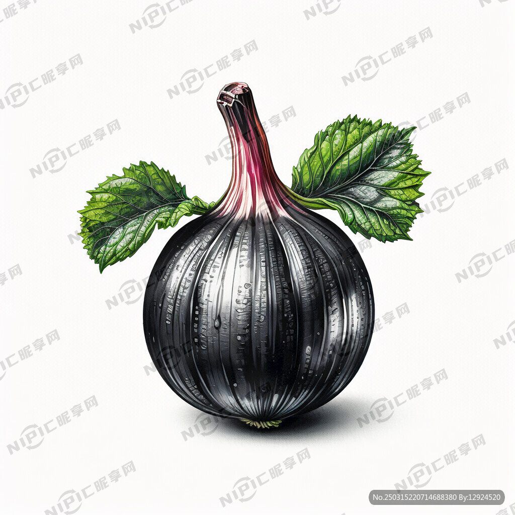 黑蒜彩色插画 背景白色