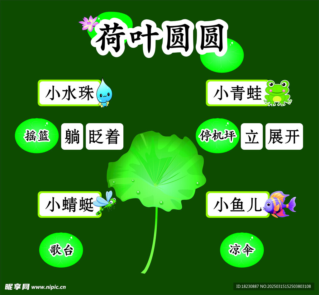 荷叶圆圆