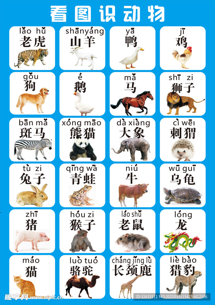 看图识动物
