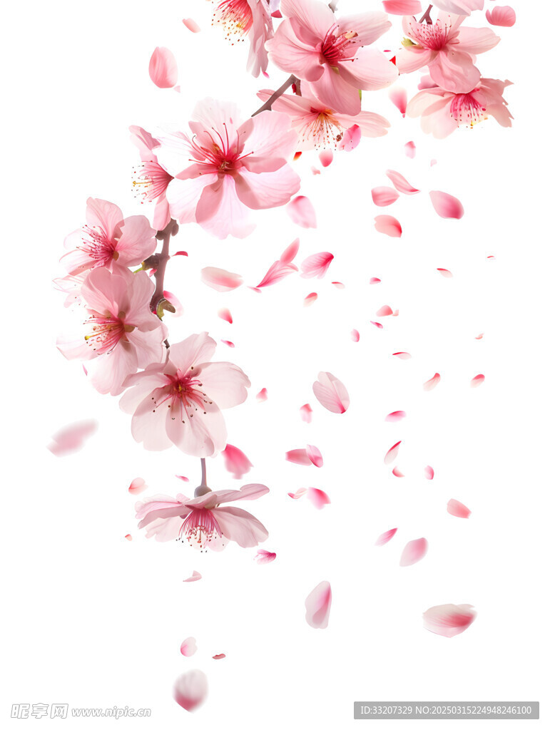 花之系列 桃花