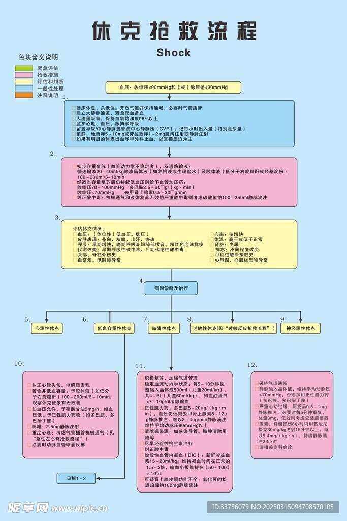 休克抢救流程