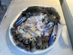 螃蟹老虎虾鱿鱼大杂烩