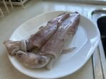 大鱿鱼