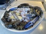 螃蟹老虎虾鱿鱼大杂烩
