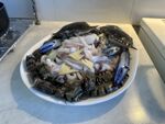 螃蟹老虎虾鱿鱼大杂烩