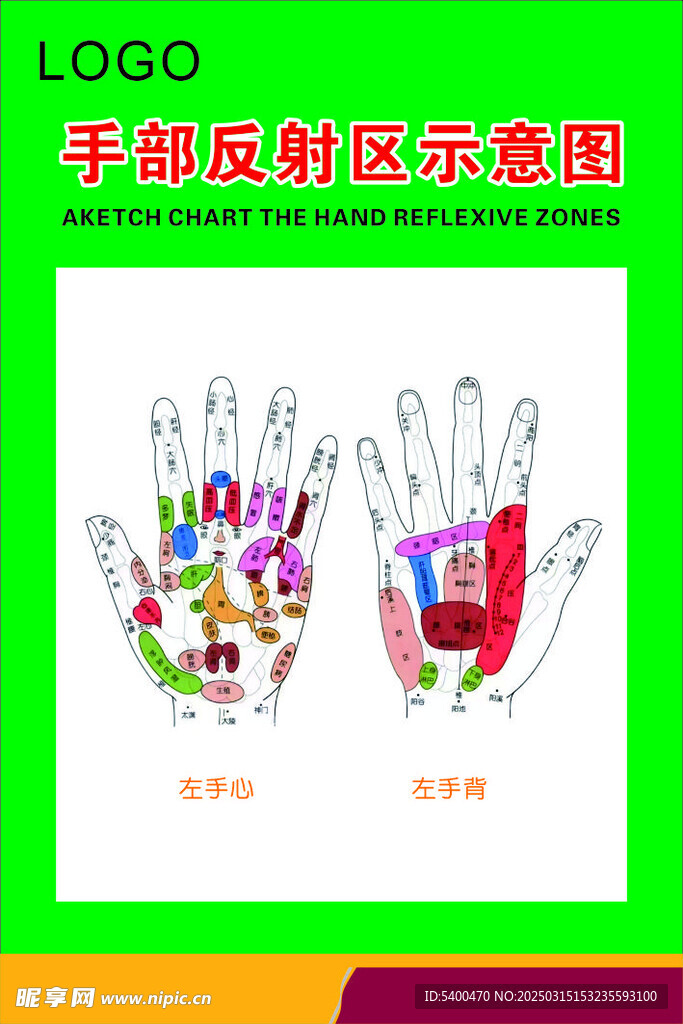 手部反射区示意图
