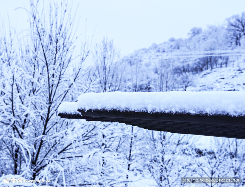 冬雪