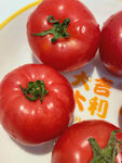 番茄