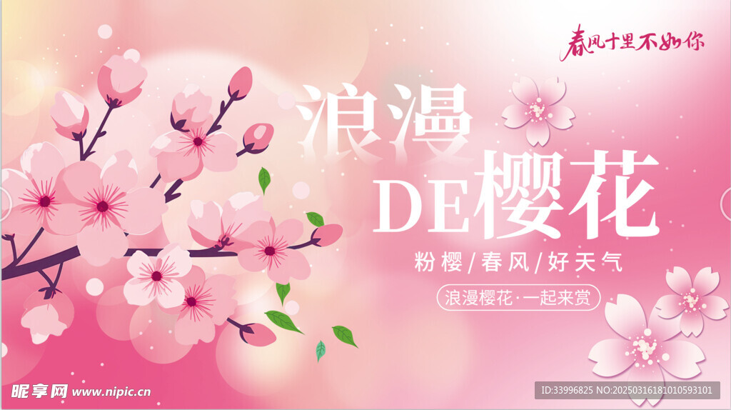 粉色樱花春天