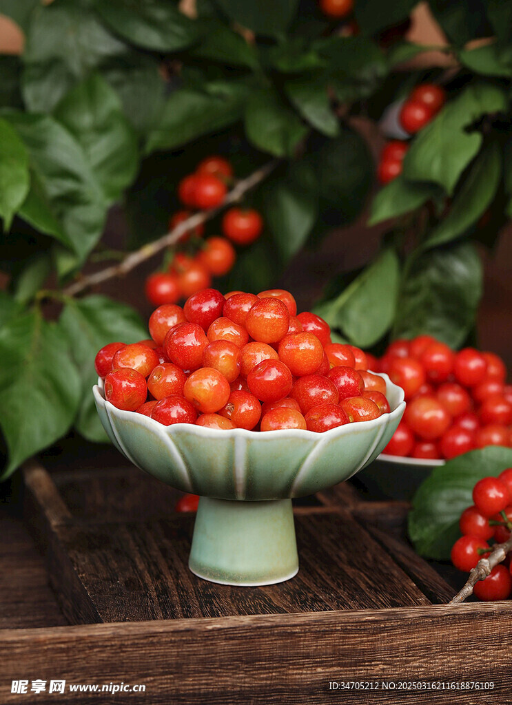 樱桃