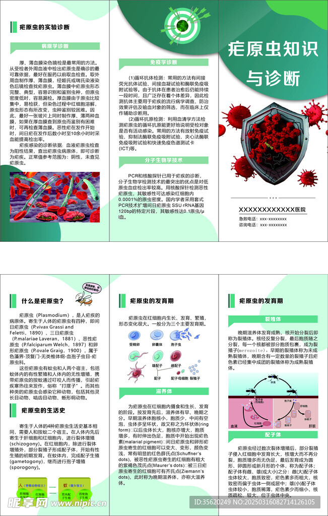 疟原虫知识与诊断