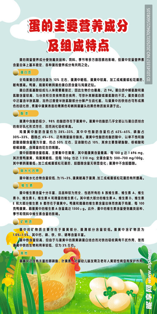 蛋的营养成分及组成特点