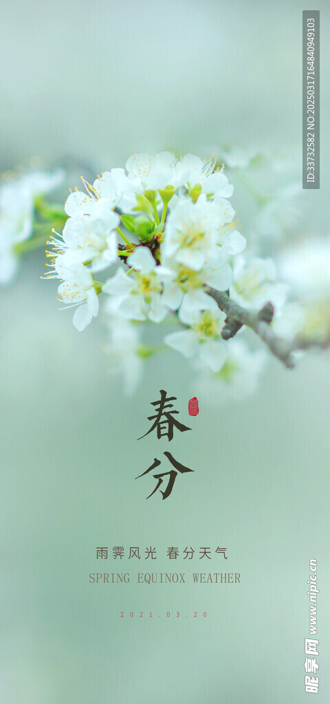 春分节气海报