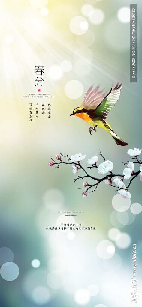 春分节气海报