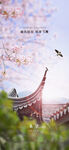 春分节气海报