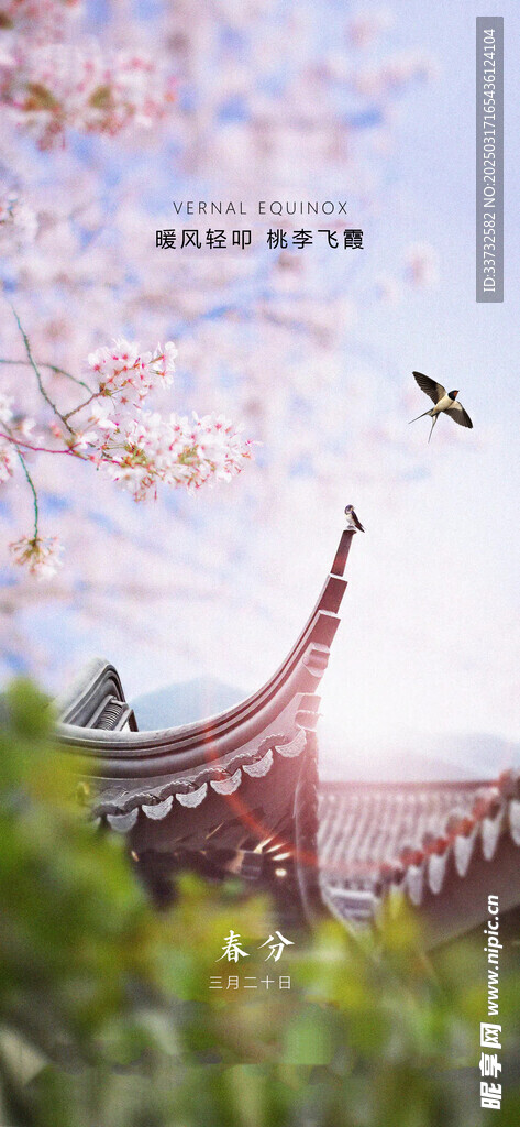 春分节气海报