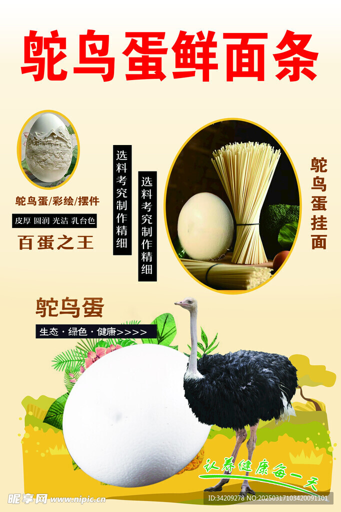 鸵鸟蛋鲜面条