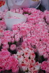 鲜花