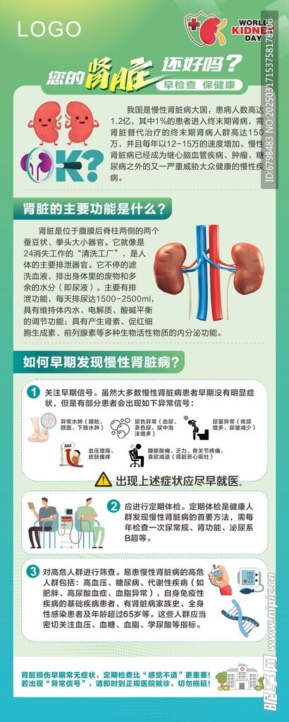 肾病易拉宝