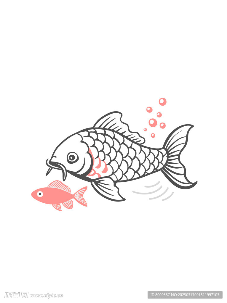 线描鲤鱼插画