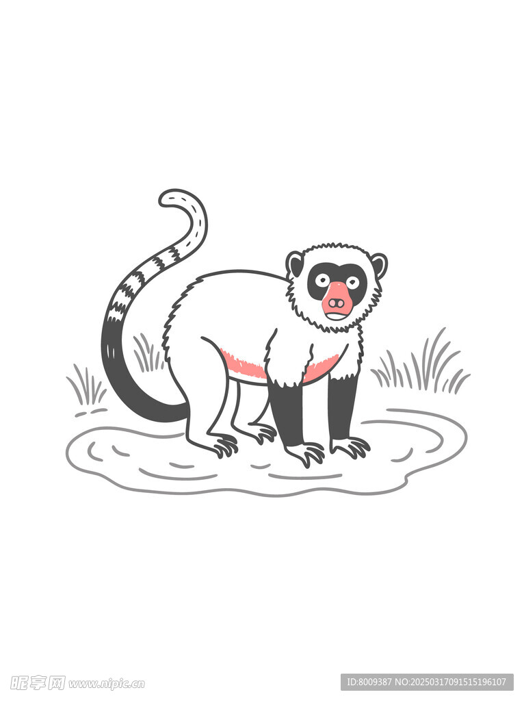 卡通长尾猴插画