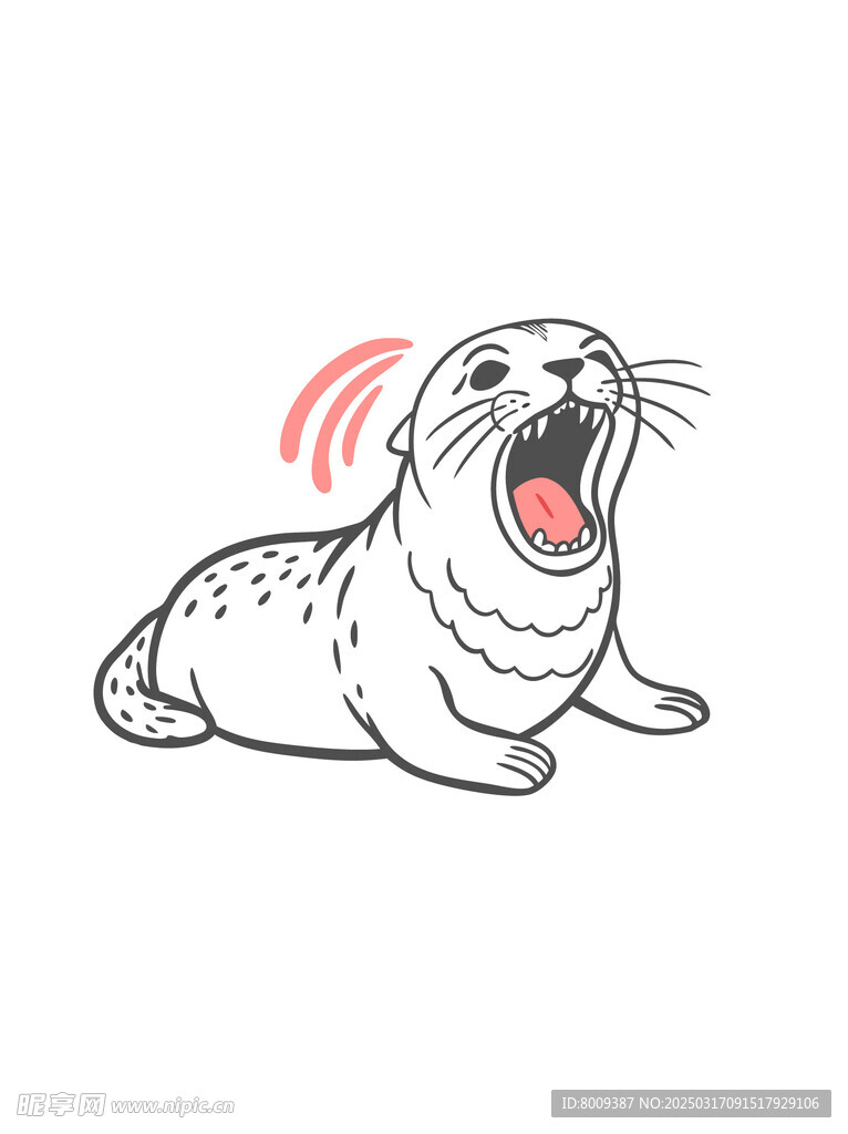 线描海豹插画