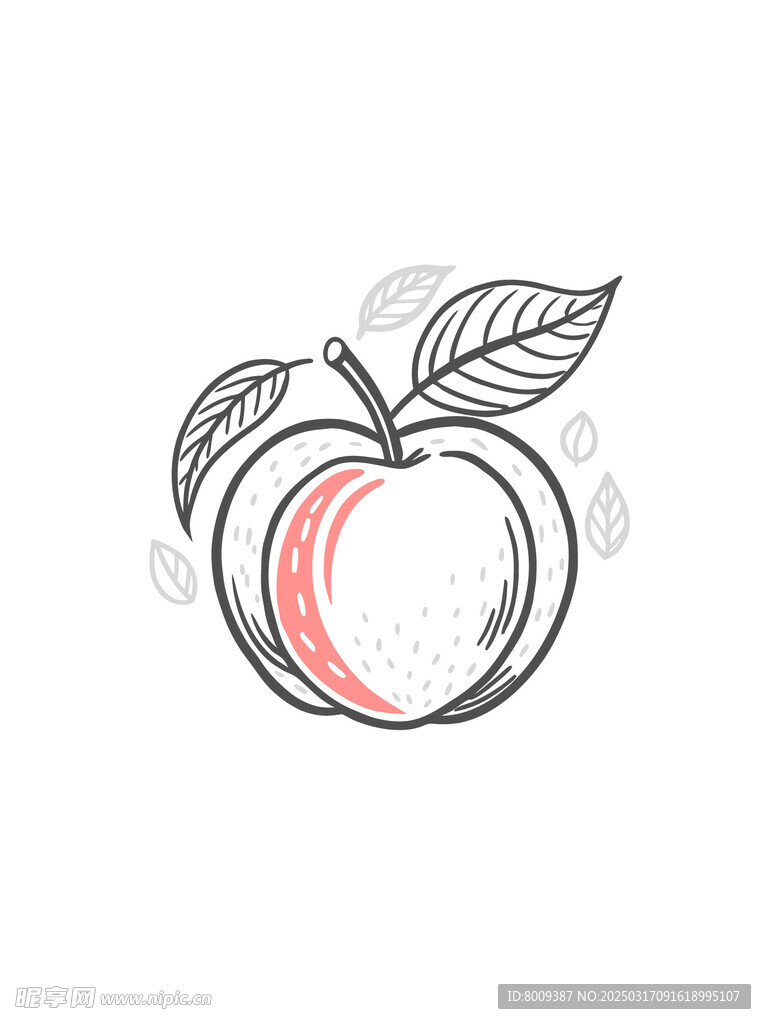 线描桃子插画