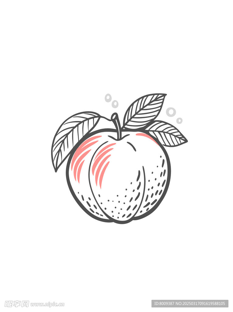 线描桃子插画