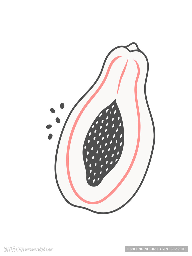 线描木瓜插画