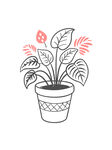 线描素描盆栽绿植矢量插画