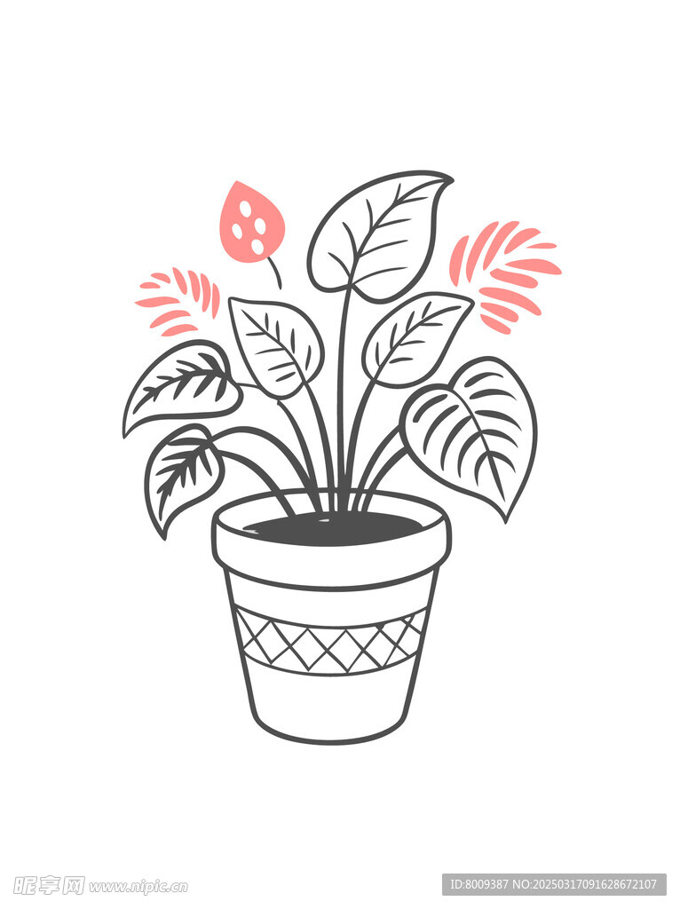 线描素描盆栽绿植矢量插画