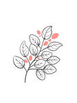 线描树叶矢量插画