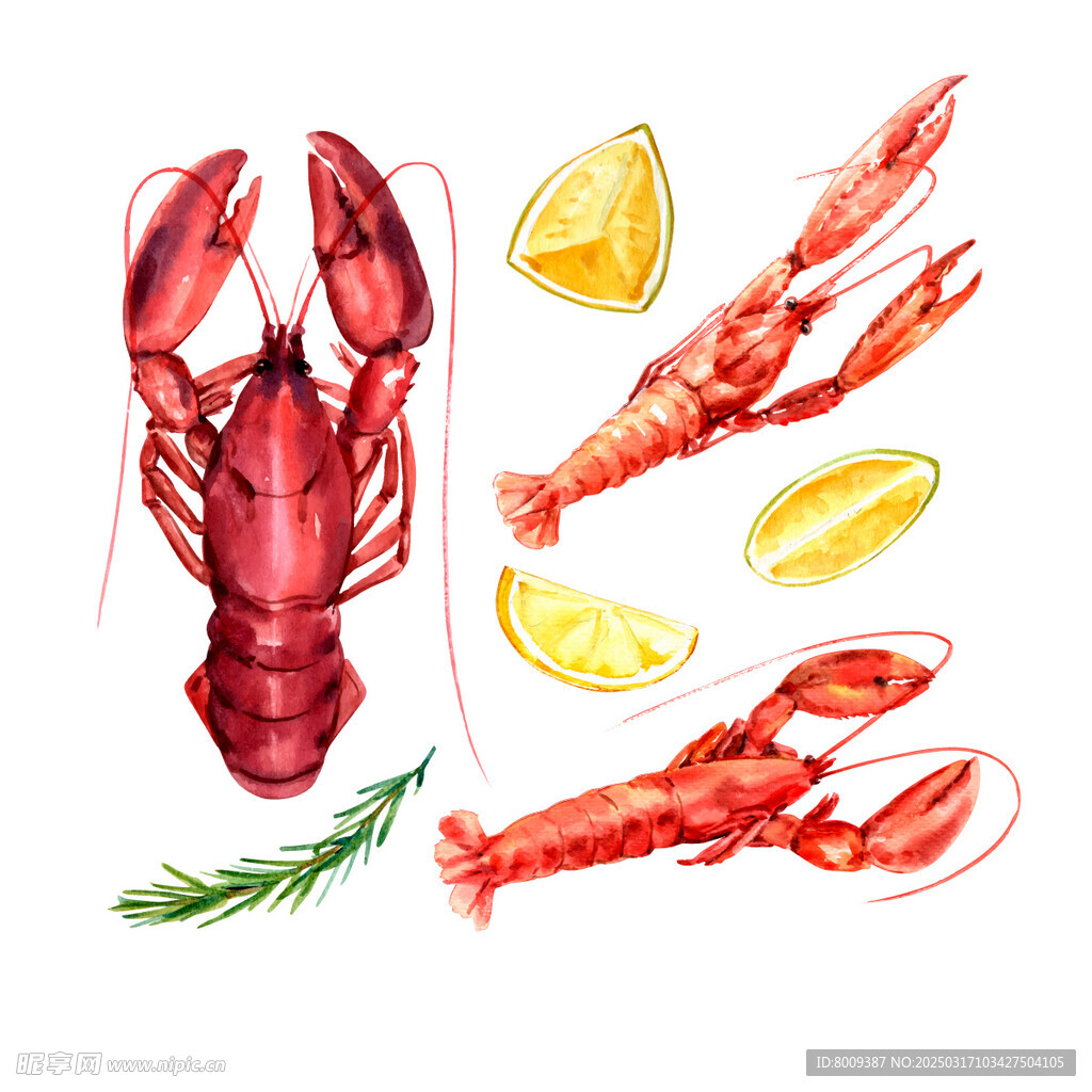 手绘水彩龙虾与柠檬插画