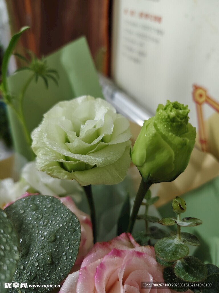 绿色花朵