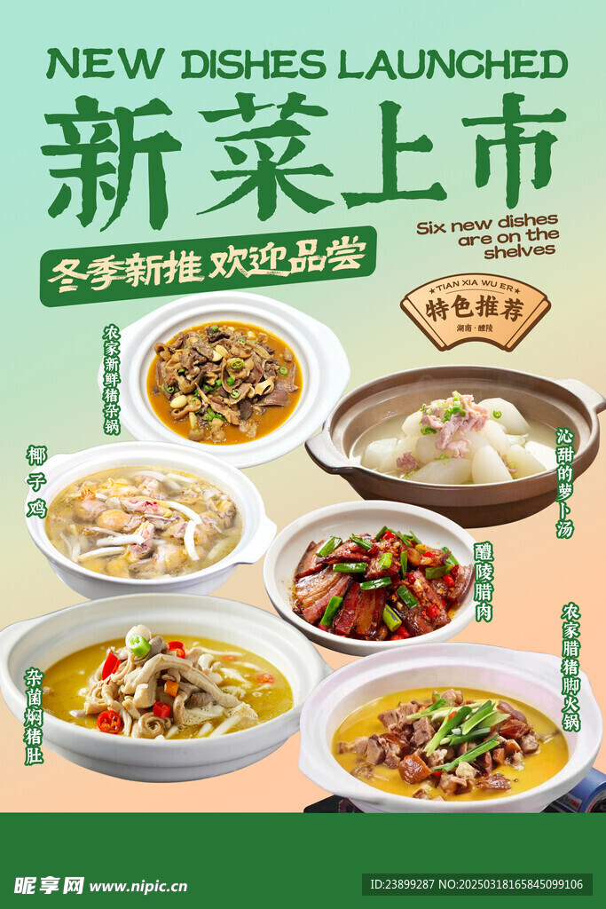  新菜上市