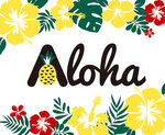 热带植物花朵树叶Aloha