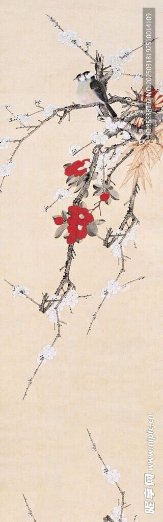古典花鸟素材